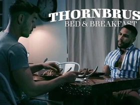 Thornbrush bed and breakfast brock banks, nico coopa