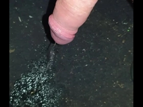 Peeing on floor